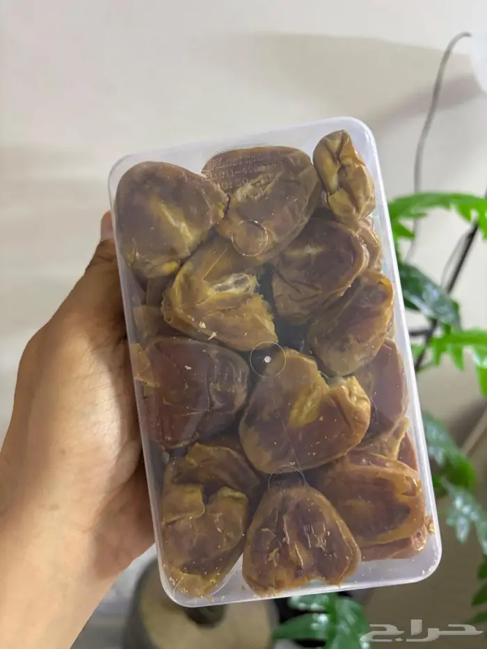 رعيص او جنيهات سكري وسكريه حمراء تهتم حلاو بقر 0