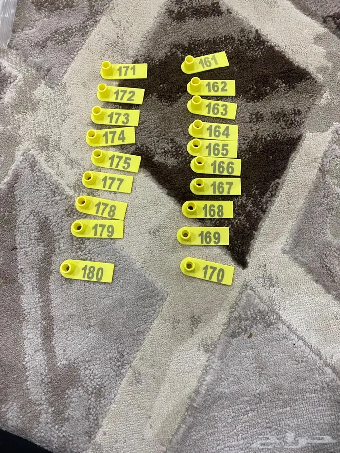 سبته لترقيم الحلال بسعر 10 ريال فقط لا غير بدون الارقام 4