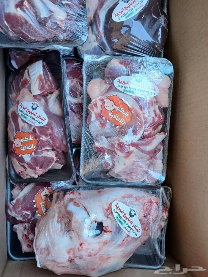 ذبايح تابي وتمارا 8