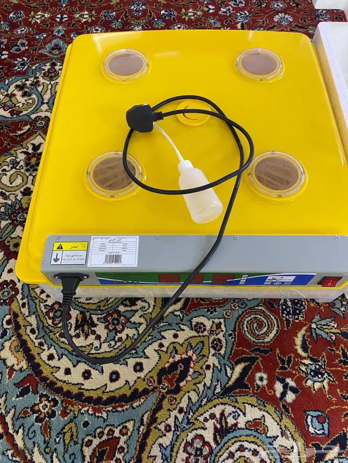 فقاسة 98 بيضه 0