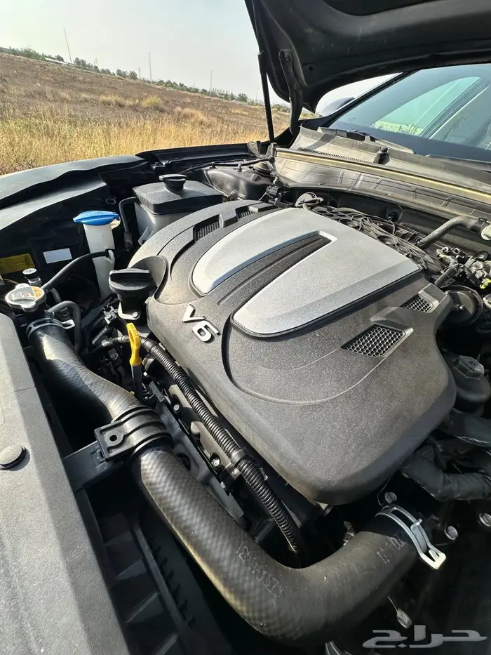 كادنزا 2020 نضيف جدا 48