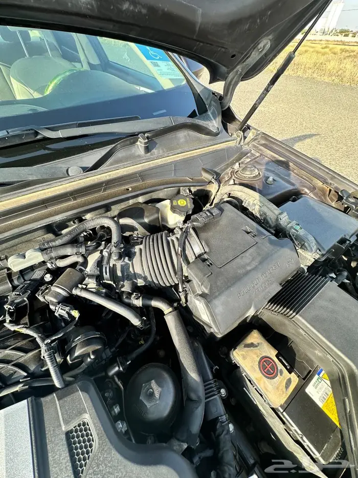 كادنزا 2020 نضيف جدا 53