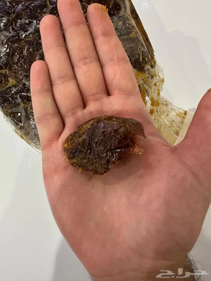 خضري الزلفي مقمع ومنضف ومجروش 0