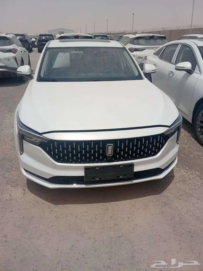 فاو بيستون B70 كومفورت 2025 اصفار 11