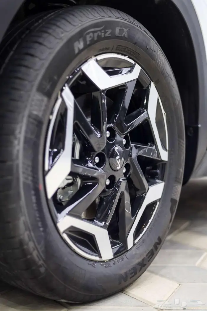 سيلتوس نص فل 2025 14