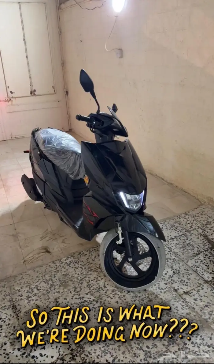 افنيوس بور سبورت 0