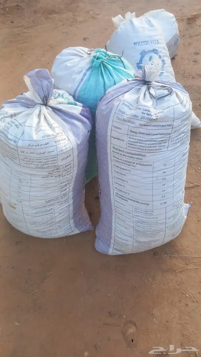 تمر نفيع للحلال 2