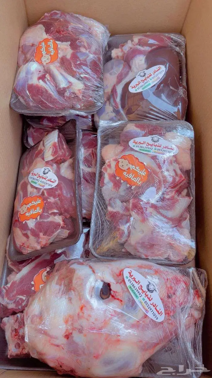 ذبايح تابي وتمارا 9