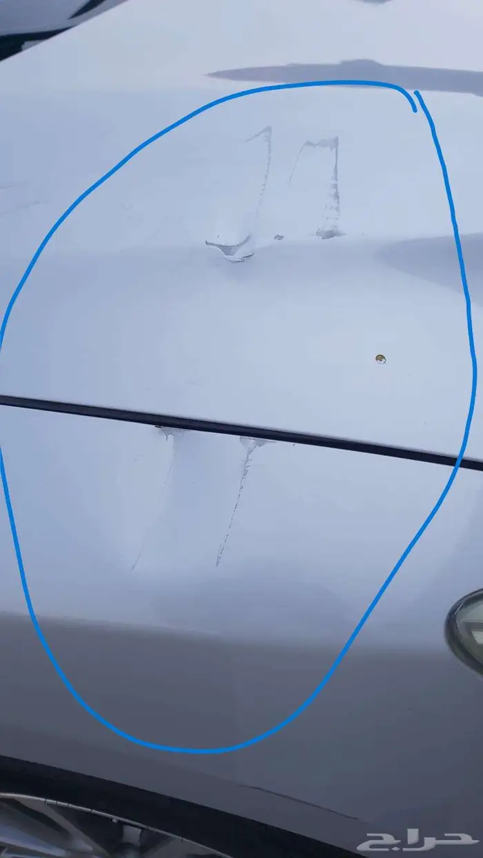 نيسان باثفندر 2016 17