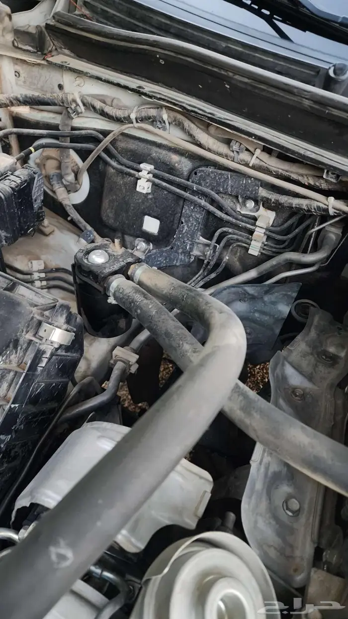 حوطة بني تميم 16