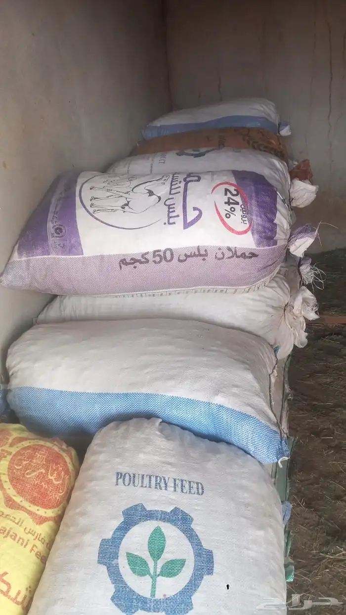 تمر نفيع للحلال 0