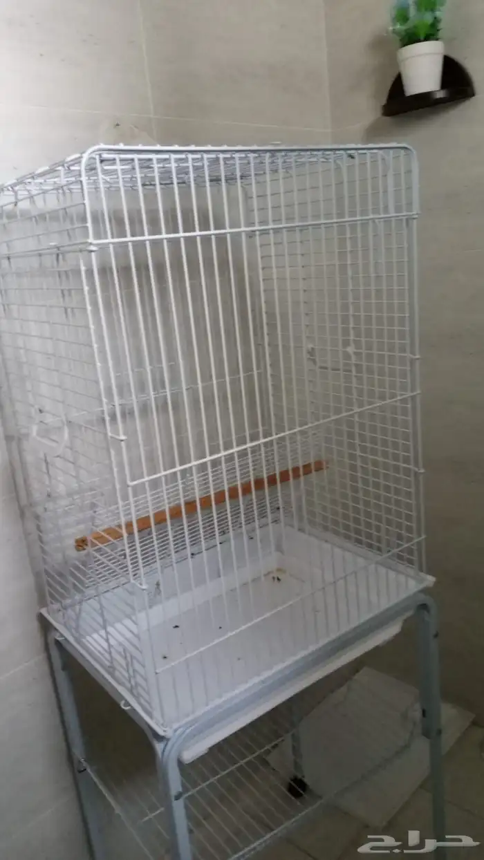 قفص ابو ستاند 1