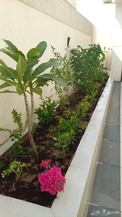 تصميم احواض زرع طببعي index