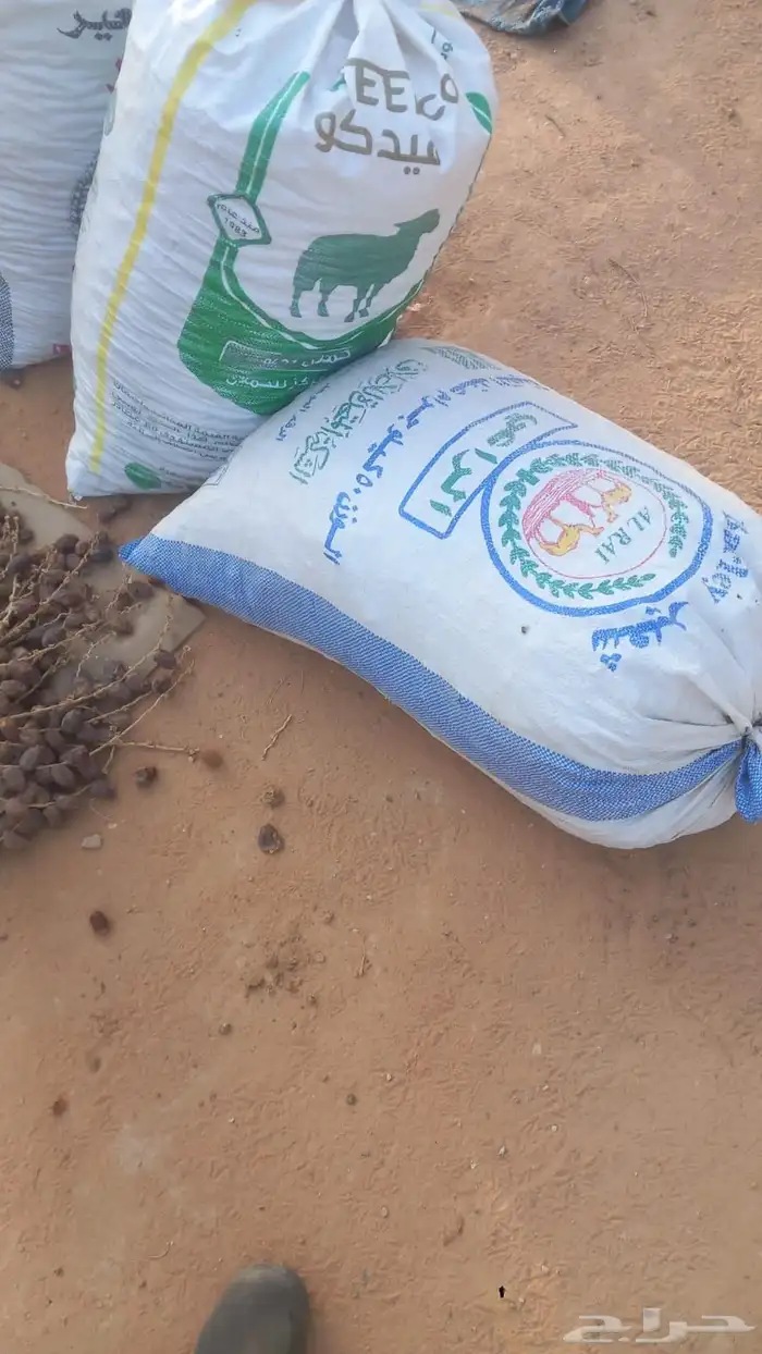 تمر نفيع للحلال 1