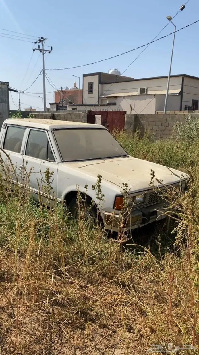 دادسون نيسان ونيت غمارتين 1984 1