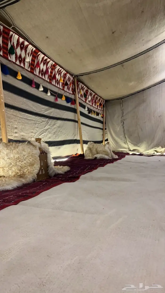 بيت شعر شماليه شبه جديده ( 5 في 9 ) 1