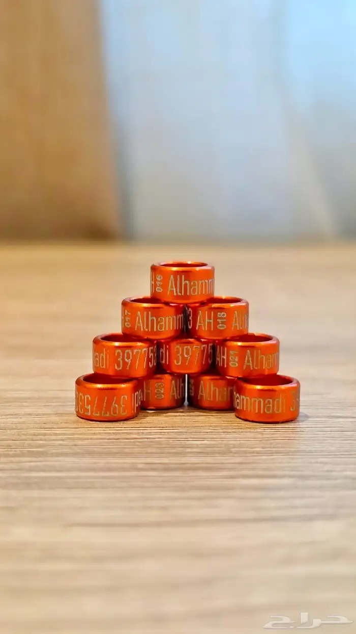 تفصيل حجول كافة الانواع والمقاسات حفر ليزر ( DNA تحليل ) 21