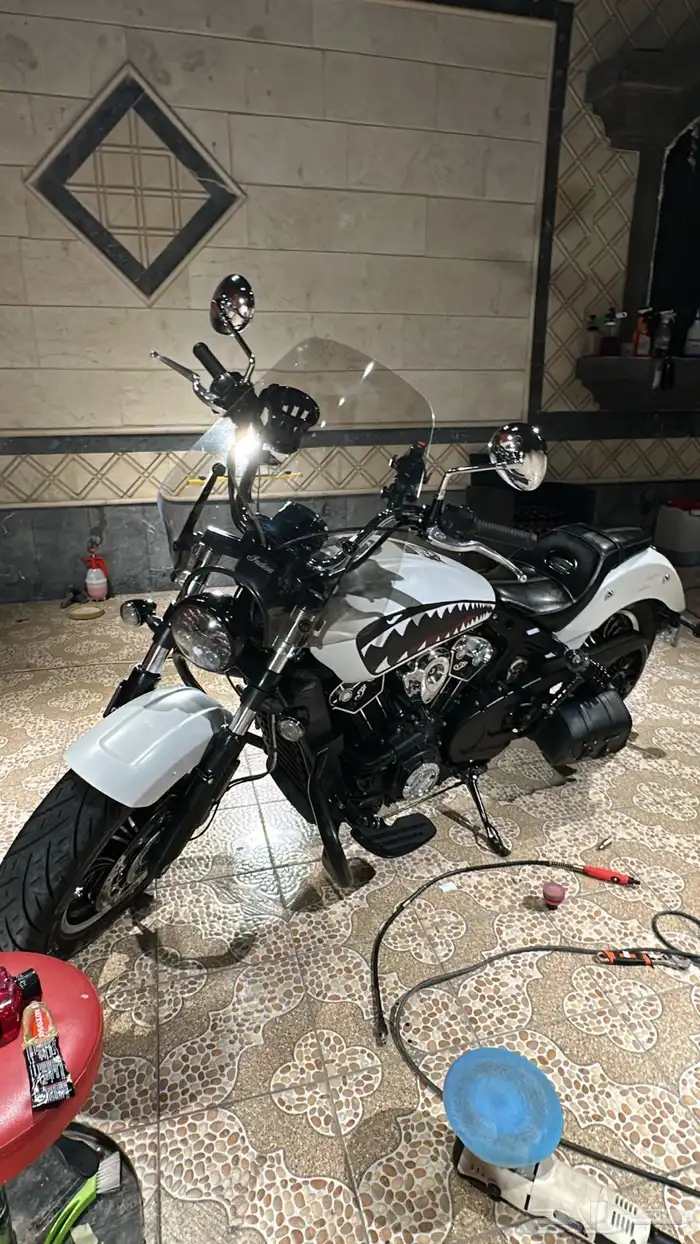INDIAN SCOUT 2021 pearl white smoke 2
