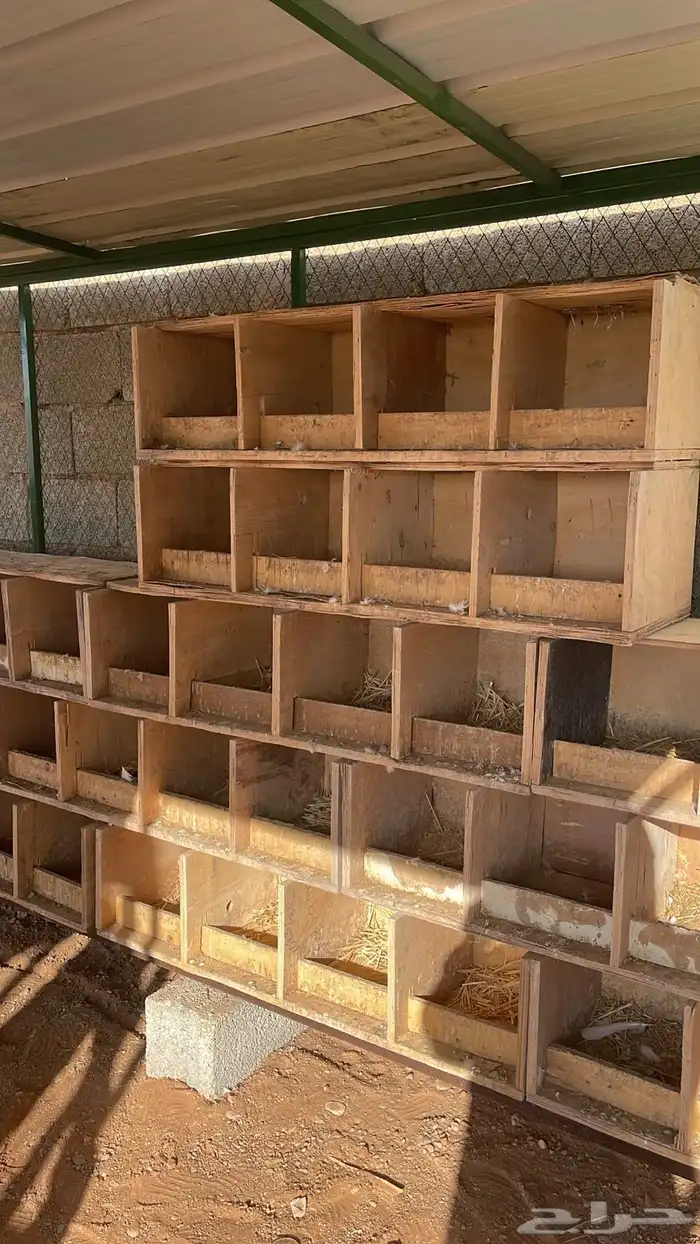 شبك حمام للبيع 1