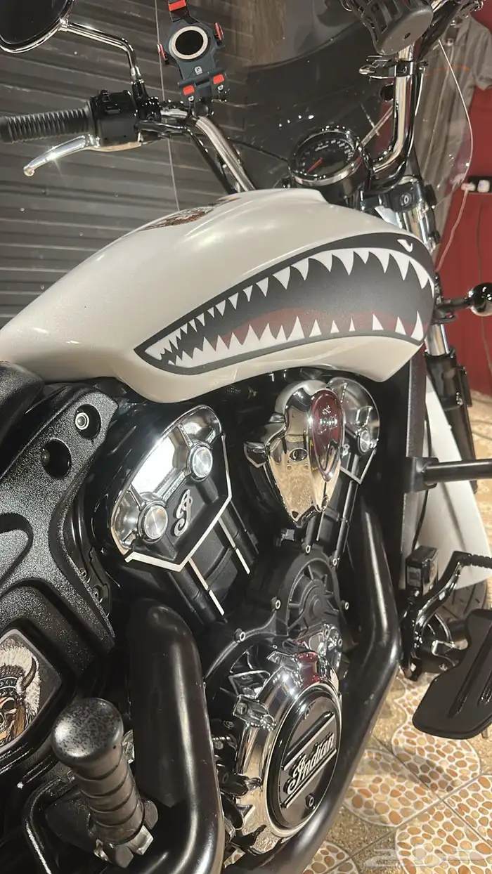 INDIAN SCOUT 2021 pearl white smoke 6