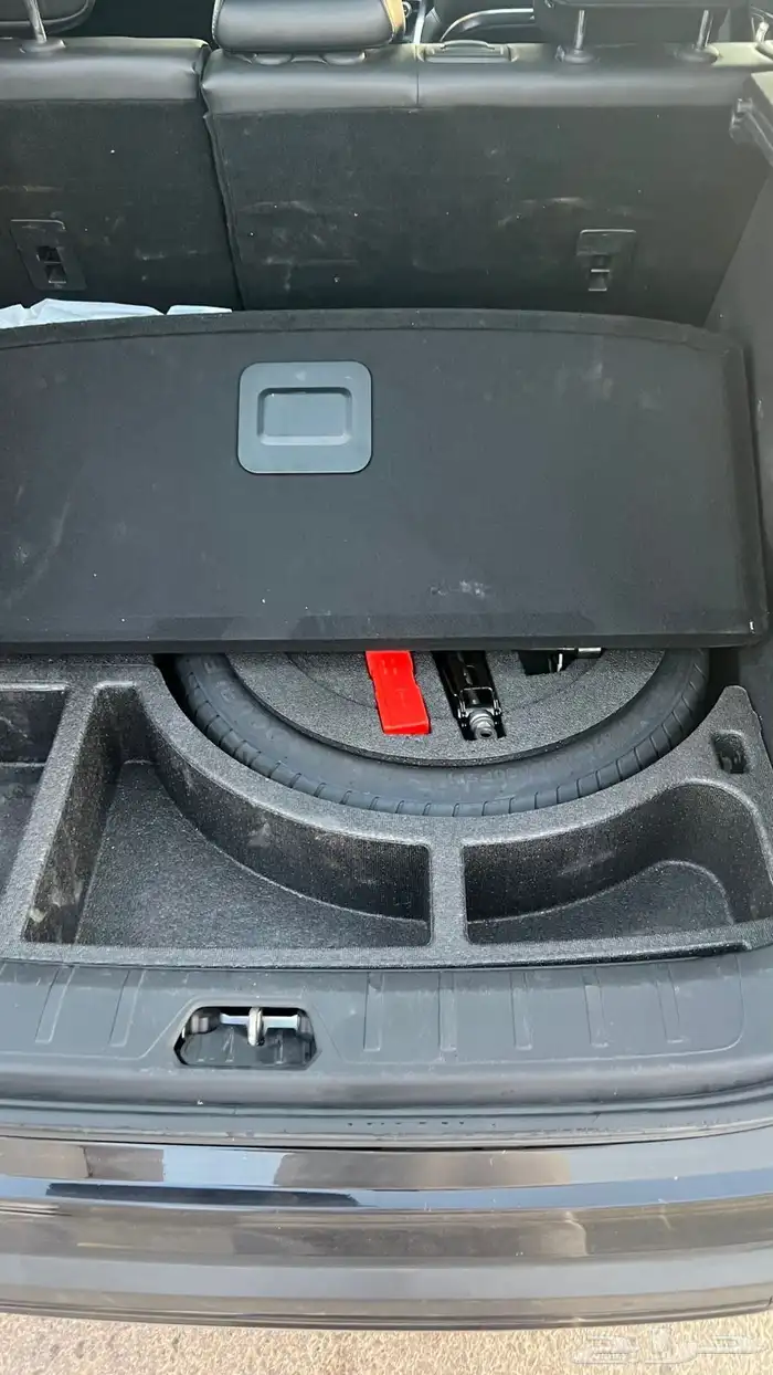 توجيلا جيلي 2022 5