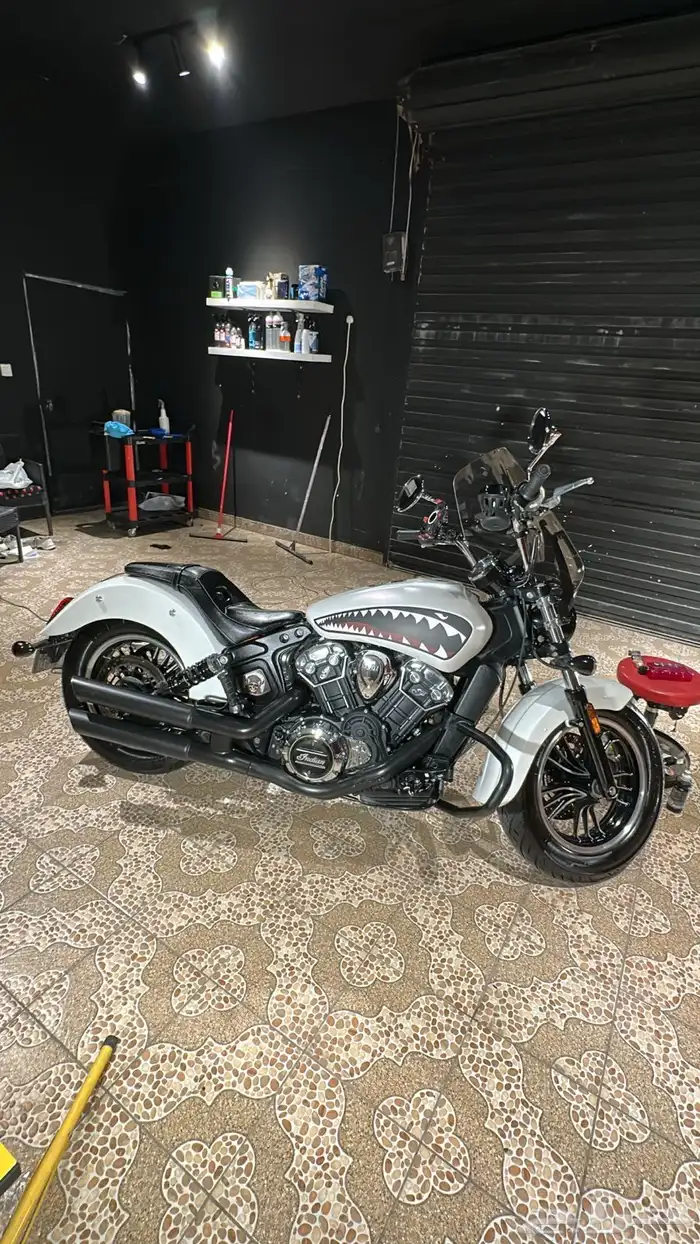 INDIAN SCOUT 2021 pearl white smoke 4
