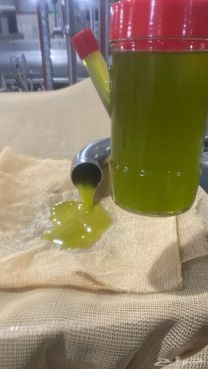 زيت زيتون عصرة اولى 0