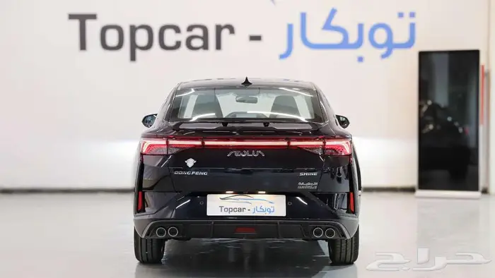 دونج فينج شاين E2 ستاندر 2026 الخرج قبل 3 أسابيع 12