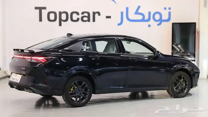 دونج فينج شاين E2 ستاندر 2026 الخرج قبل 3 أسابيع 2