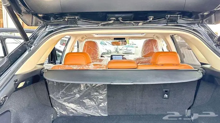 لكزس 2021 RX350 20