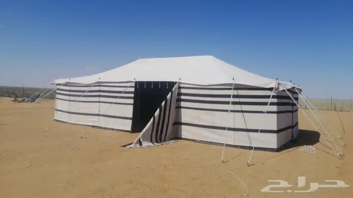 مطلوب بيت شعر ابيض 0