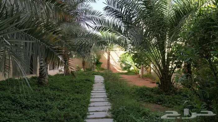 قصر للبيع في شارع المقريزي  حي الروضة  مدينة الرياض 5