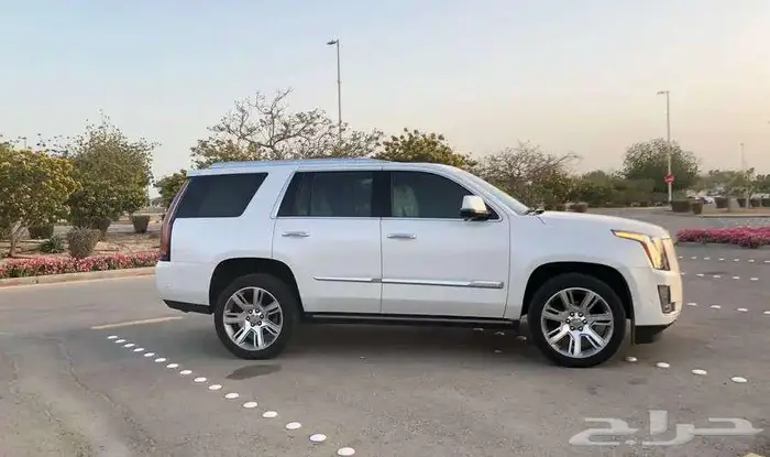 كاديلاك اسكاليد 2020 فل كامل قصير ممشي 34 ألف قليل مخزنة 57