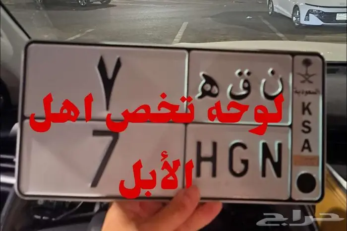 ابل ناقه قعود هجن 0