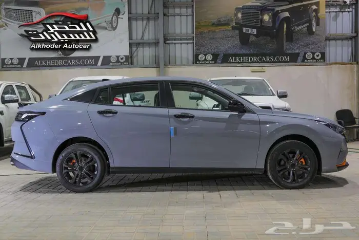 دونج فينج شاين 2025 3