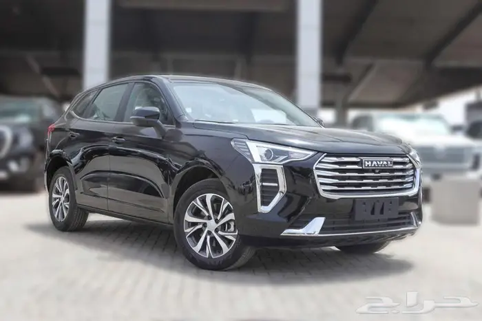 هافال جوليان بيسك موديل 2024 1