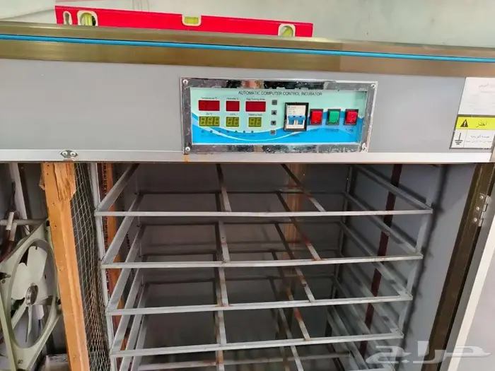 يتوفر صوص بعمر شهر 13