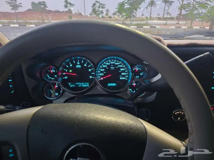 سلفردوا 2013 5