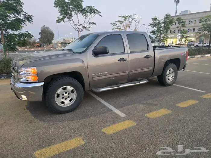 سلفردوا 2013 1