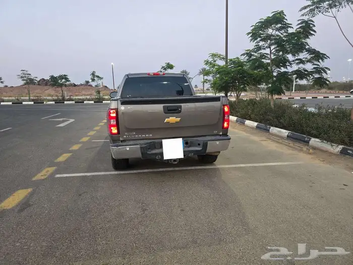 سلفردوا 2013 2