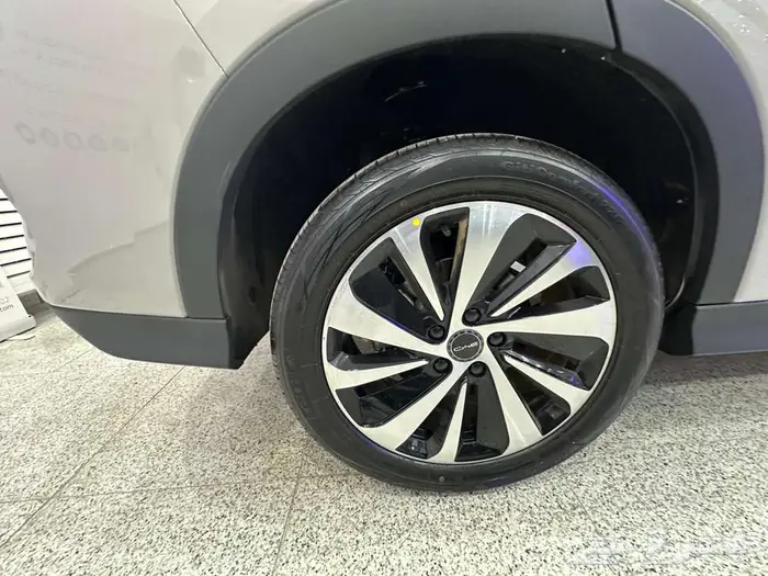 BYD SONG PLUS 2026 12