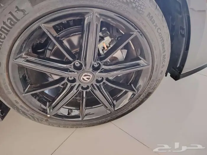 شانجان يونى فى اليت 2026 9