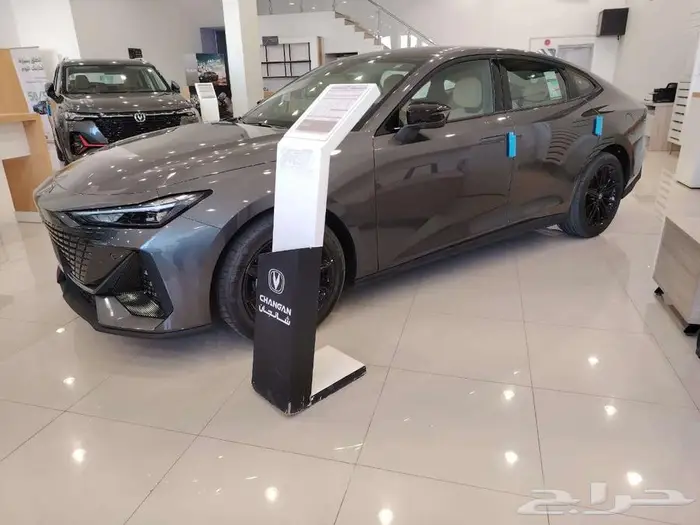 شانجان يونى فى اليت 2026 5