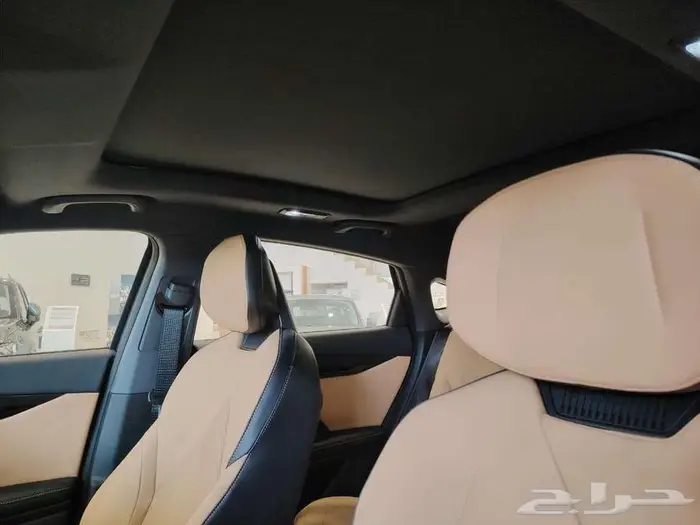 شانجان يونى فى اليت 2026 11