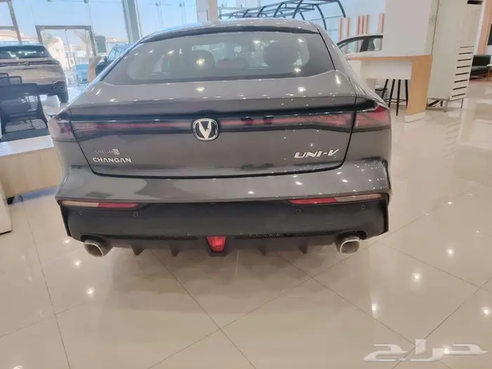 شانجان يونى فى اليت 2026 14