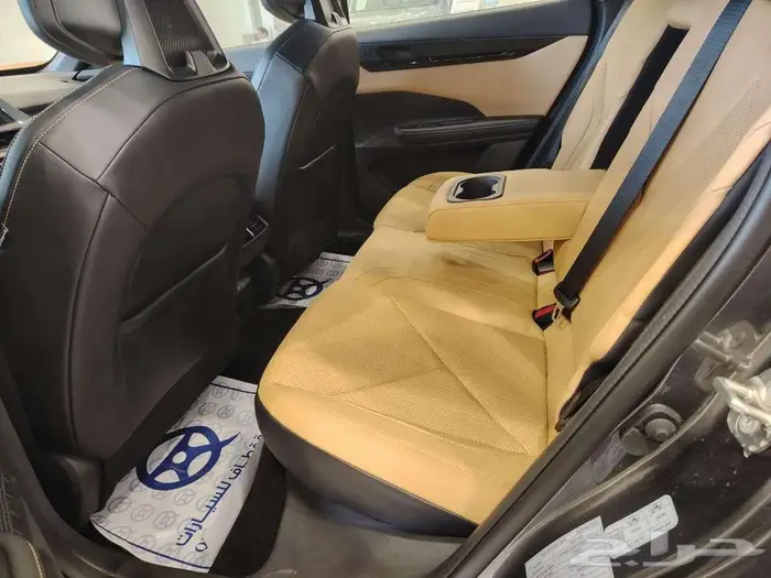 شانجان يونى فى اليت 2026 17