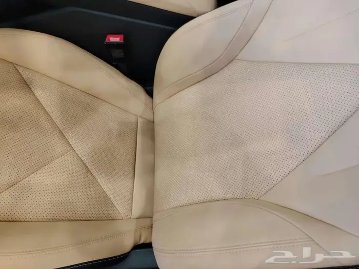 شانجان يونى فى اليت 2026 10