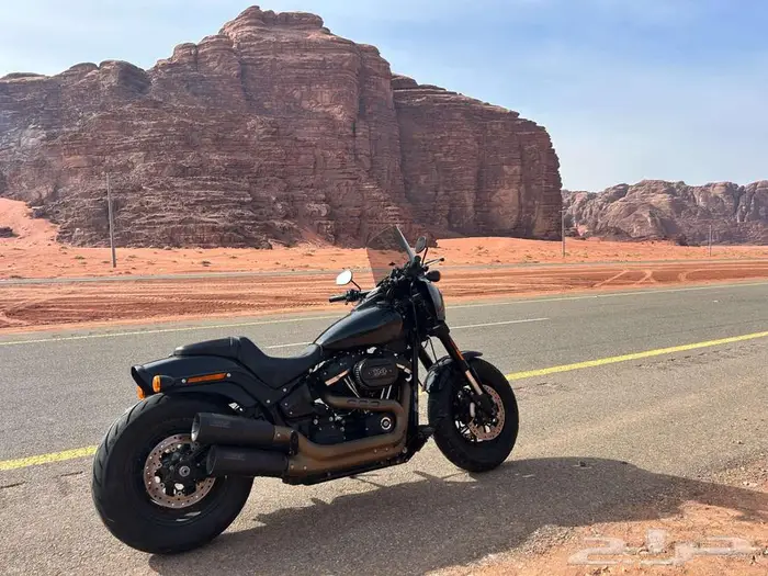 Harley Fat Bob 2021 0