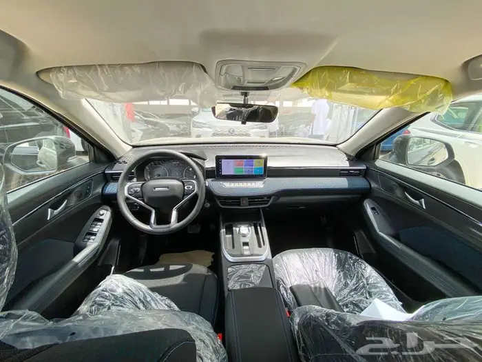 هافال جوليان بيسك موديل 2024 6