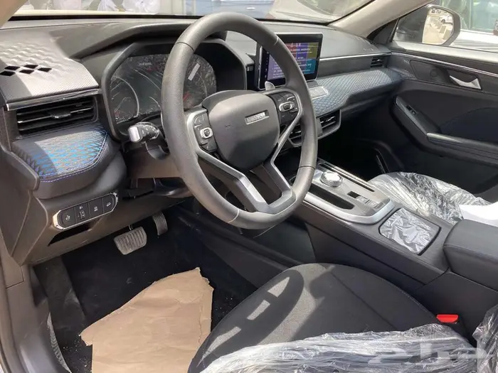 هافال جوليان بيسك موديل 2024 11